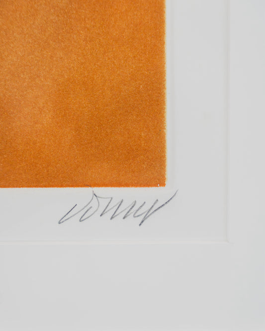 DORNY Bertrand (1931-2015)– Topographie agraire, aquatinte & eau-forte - Artkob Galerie