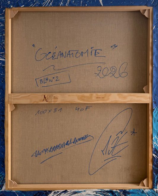 Vague Célérate 2 de Thomas Berthuel-Bonnes, série Océanatomie — vue 2